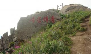 忻州古城离芦芽山多远 忻州芦芽山